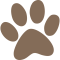Icon Paw Favicon