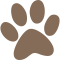 Icon Paw